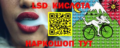 гидра Нальчик