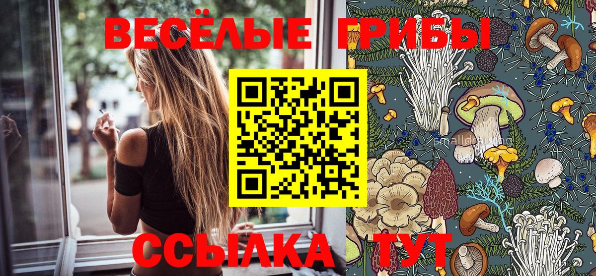 Тавда  Галлюциногенные грибы ЛСД  купить  сайты  Вход с VPN 