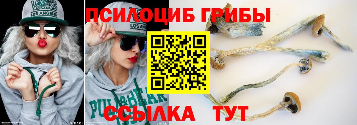 Псилоцибиновые грибы Magic Shrooms Тавда
