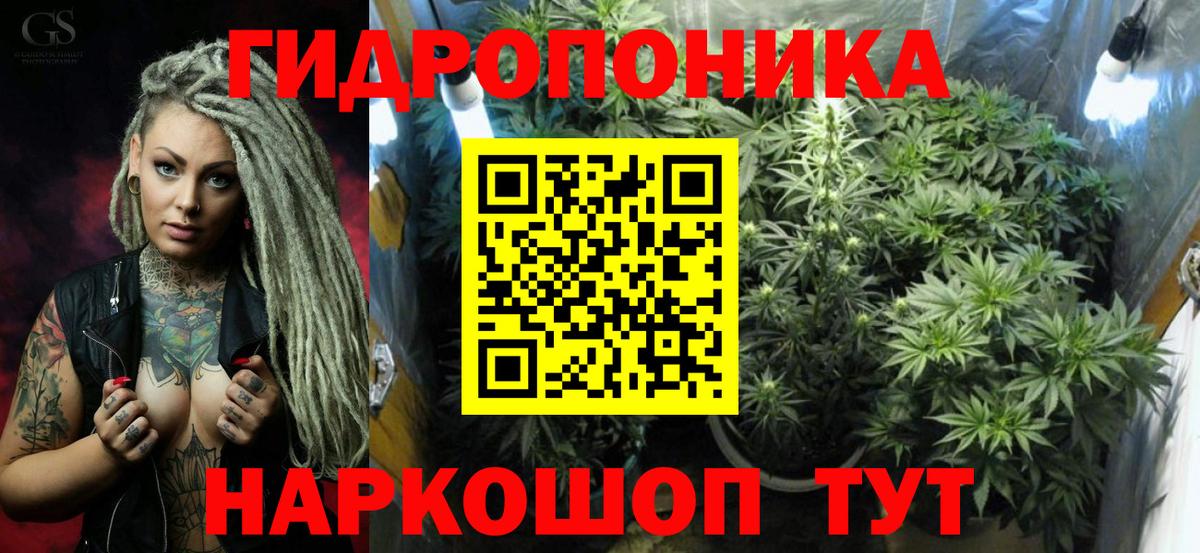 Шишки марихуана план Тавда